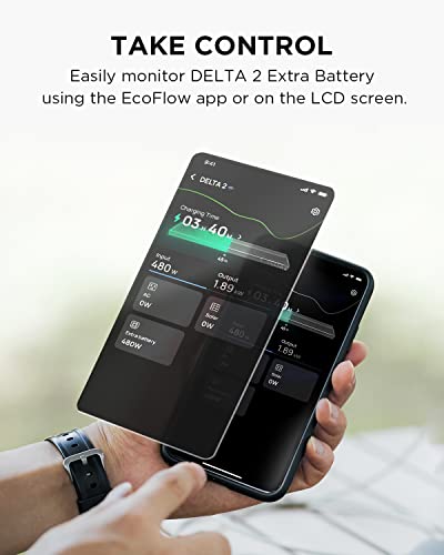 DELTA 2 Smart Extra Battery