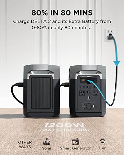 DELTA 2 Smart Extra Battery